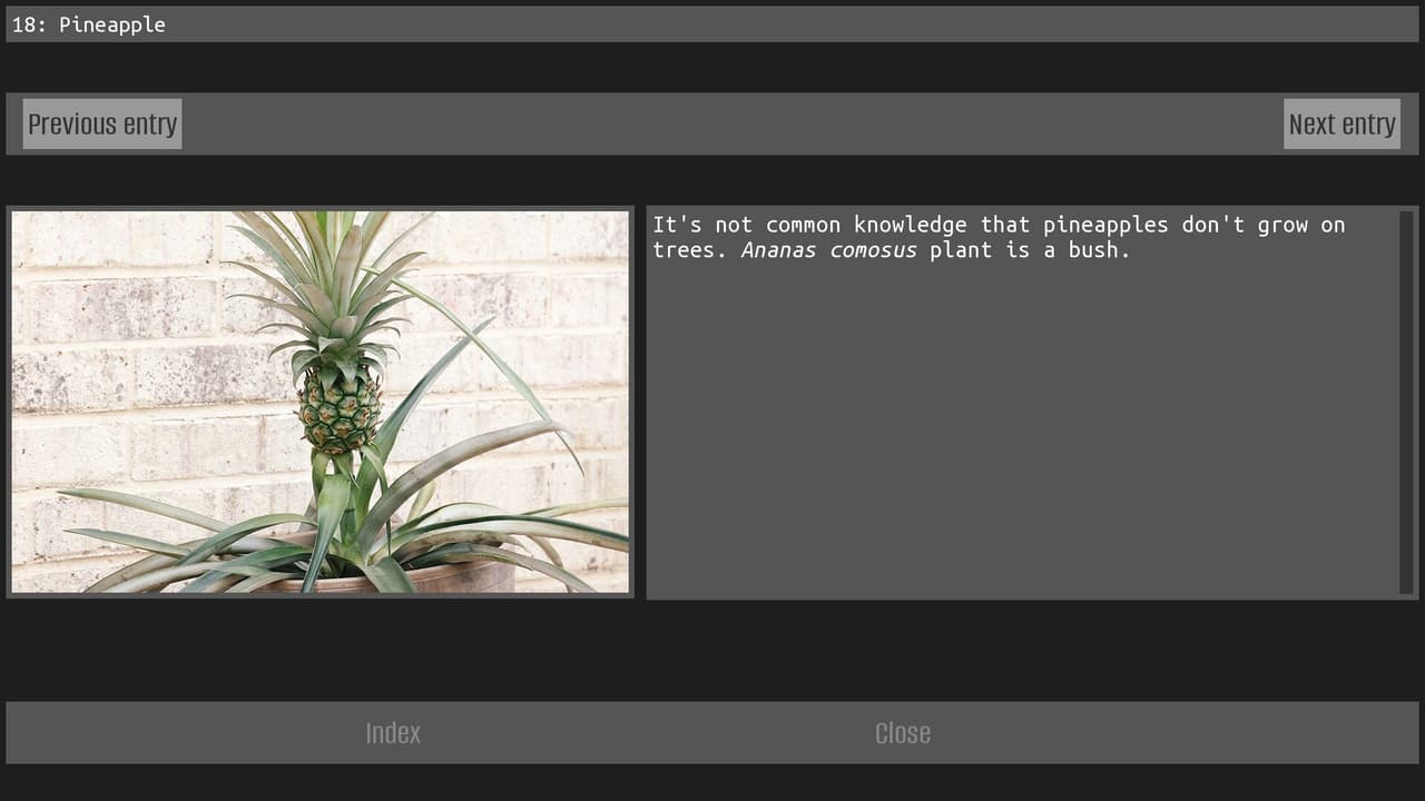 No men in this house (itch) screenshot 5
