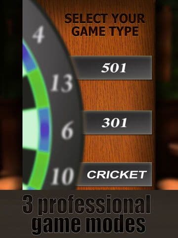 Professional Darts 3D screenshot 2