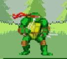 Turtle Token