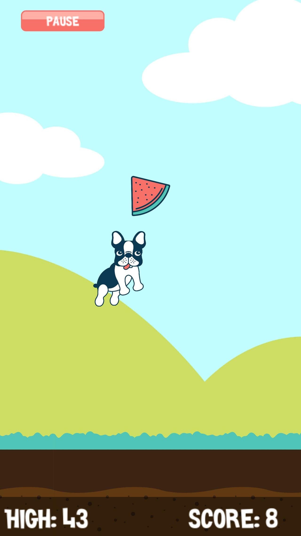 Watermelon Catch!