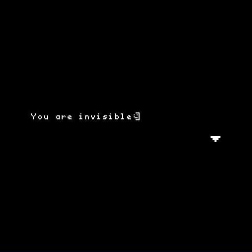 You are invisible