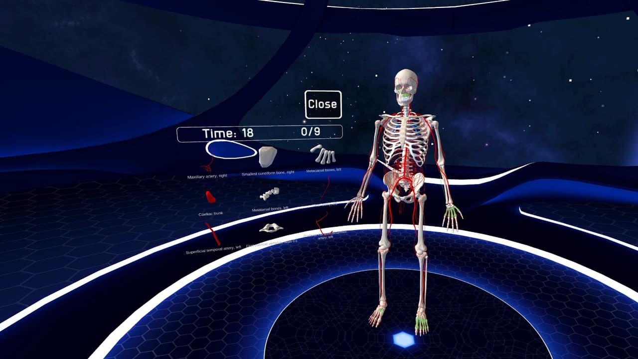 Human Anatomy VR