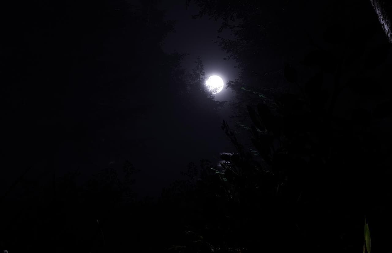 The Riverwood Entity screenshot 3
