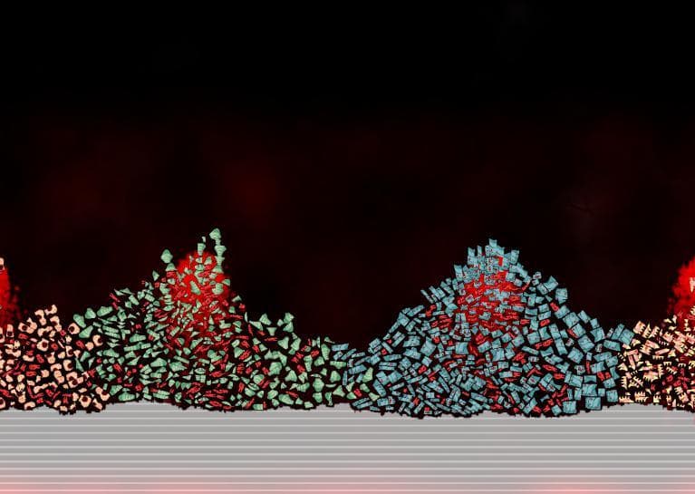 Parasite Fight