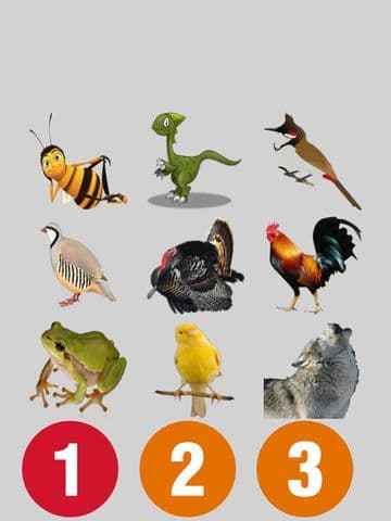 Animal Audio Pro