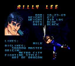 Double Dragon V: The Shadow Falls screenshot 3