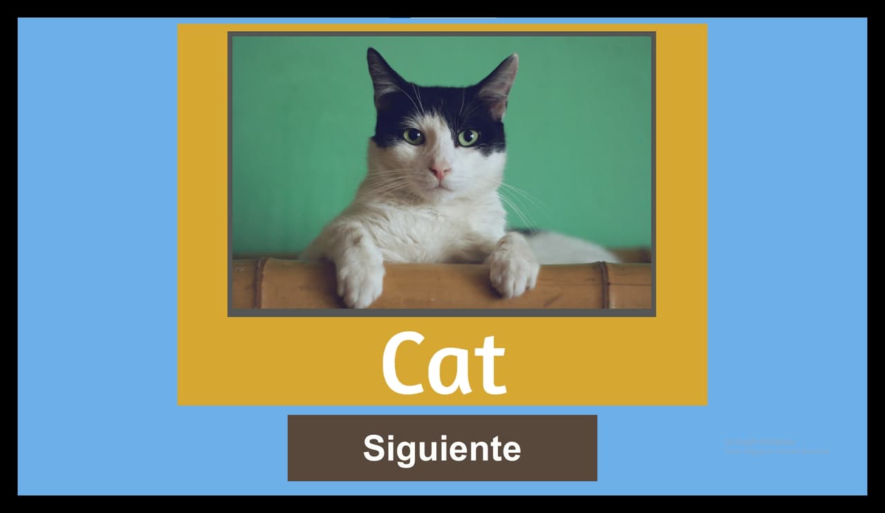 Magic Words (FabianKel) screenshot 2