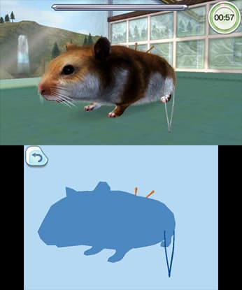 PET HOSPITAL screenshot 3