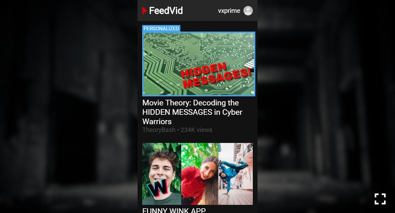 FeedVid screenshot 2