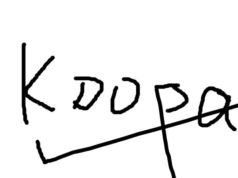 Kooooopa