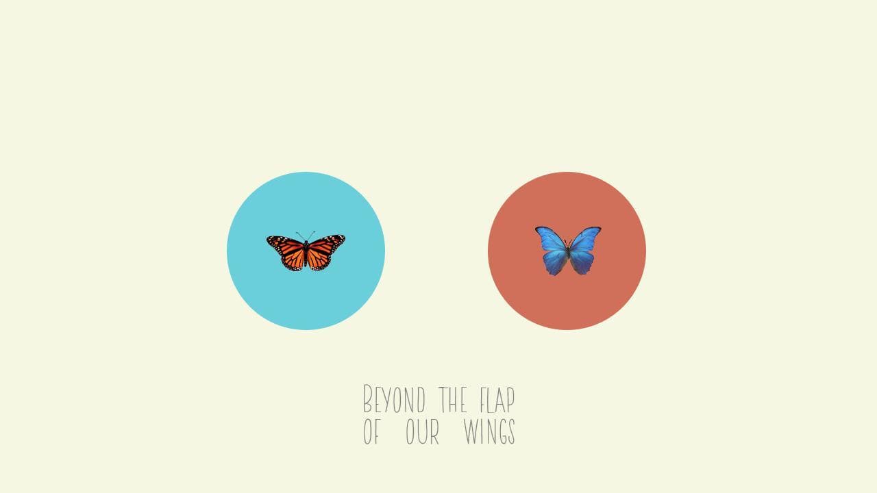 Beyond The Flap of Our Wings