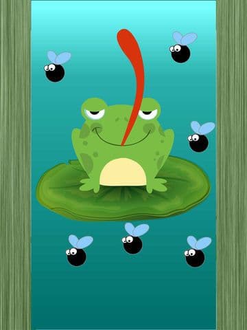 Frog&Fly