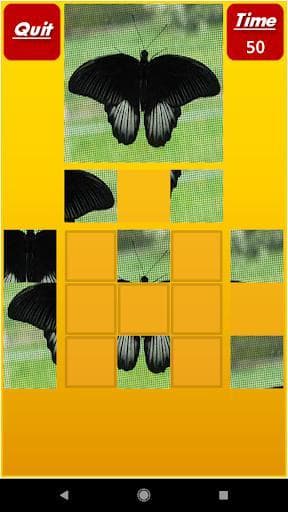 Puzzle My Mind Pro screenshot 3