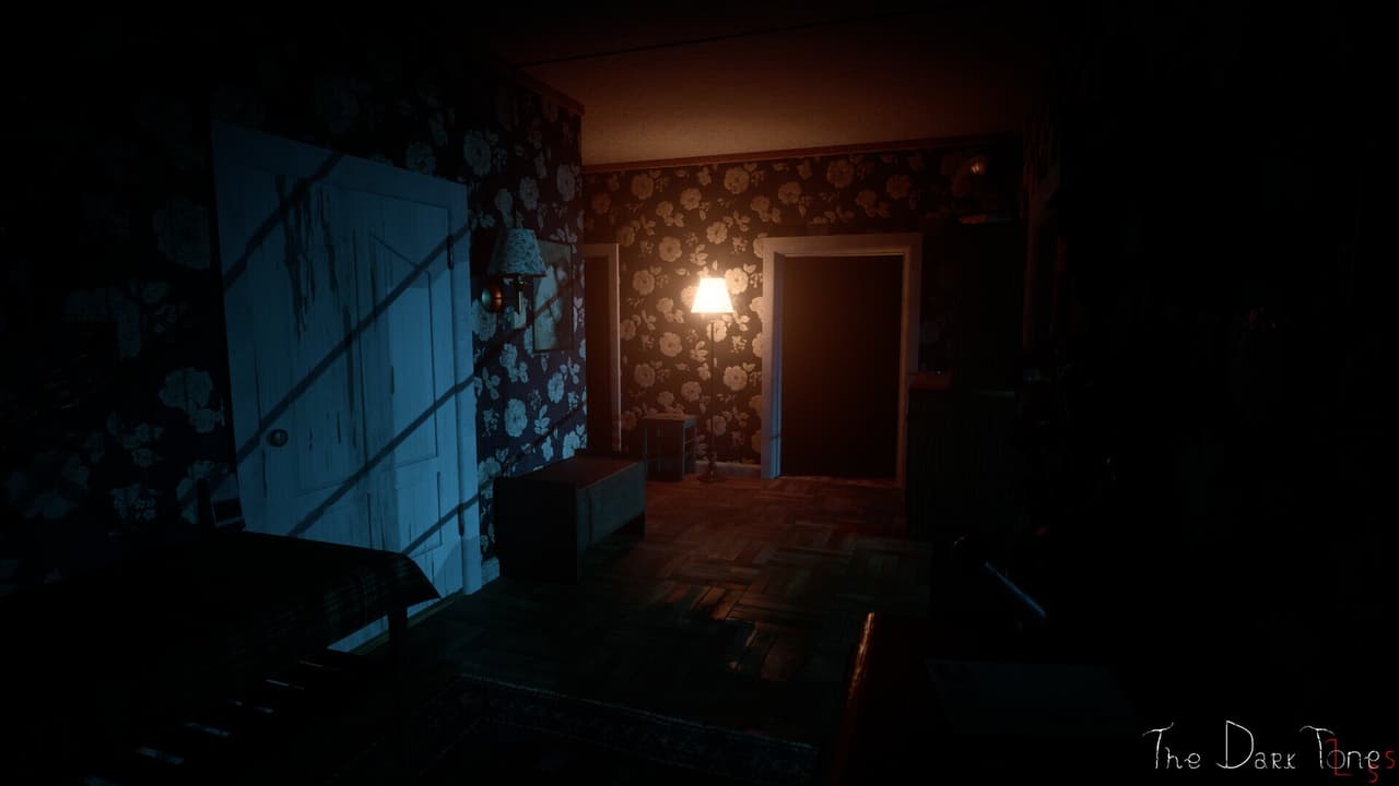 The Dark Tones: Loss screenshot 2