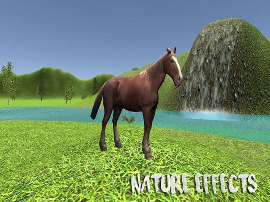 My Horse Simulator