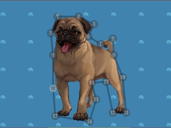 Animals Dot to Dot Free to Play. Connect dots screenshot 4