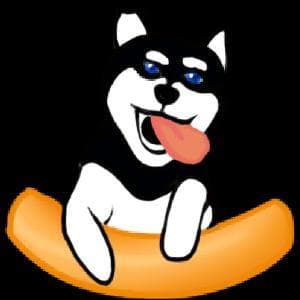 Love Your Dog