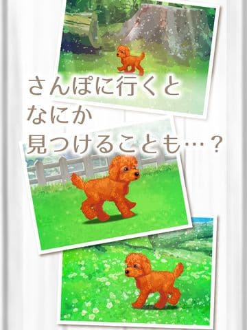 My Dog Life -Toy Poodle Edition screenshot 4