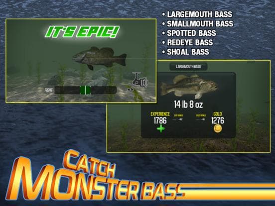 Master Bass Angler: Fishing screenshot 5