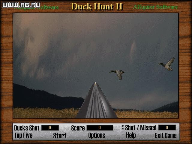 Duck Hunt 2