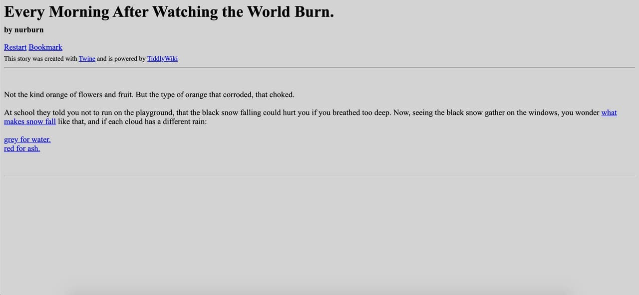Ever Morning After Watching the World Burn