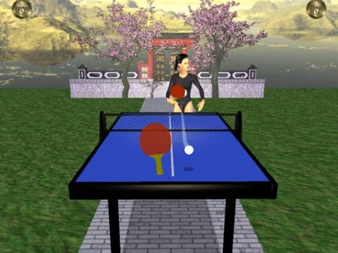 Zen Table Tennis screenshot 5