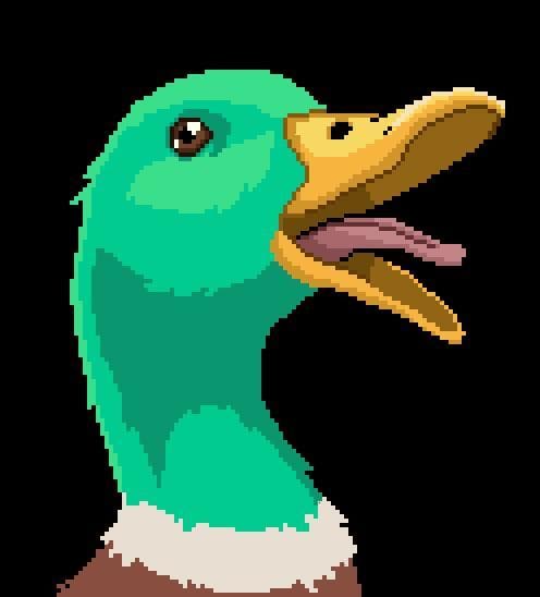 What The Duck (Olivier Proulx)