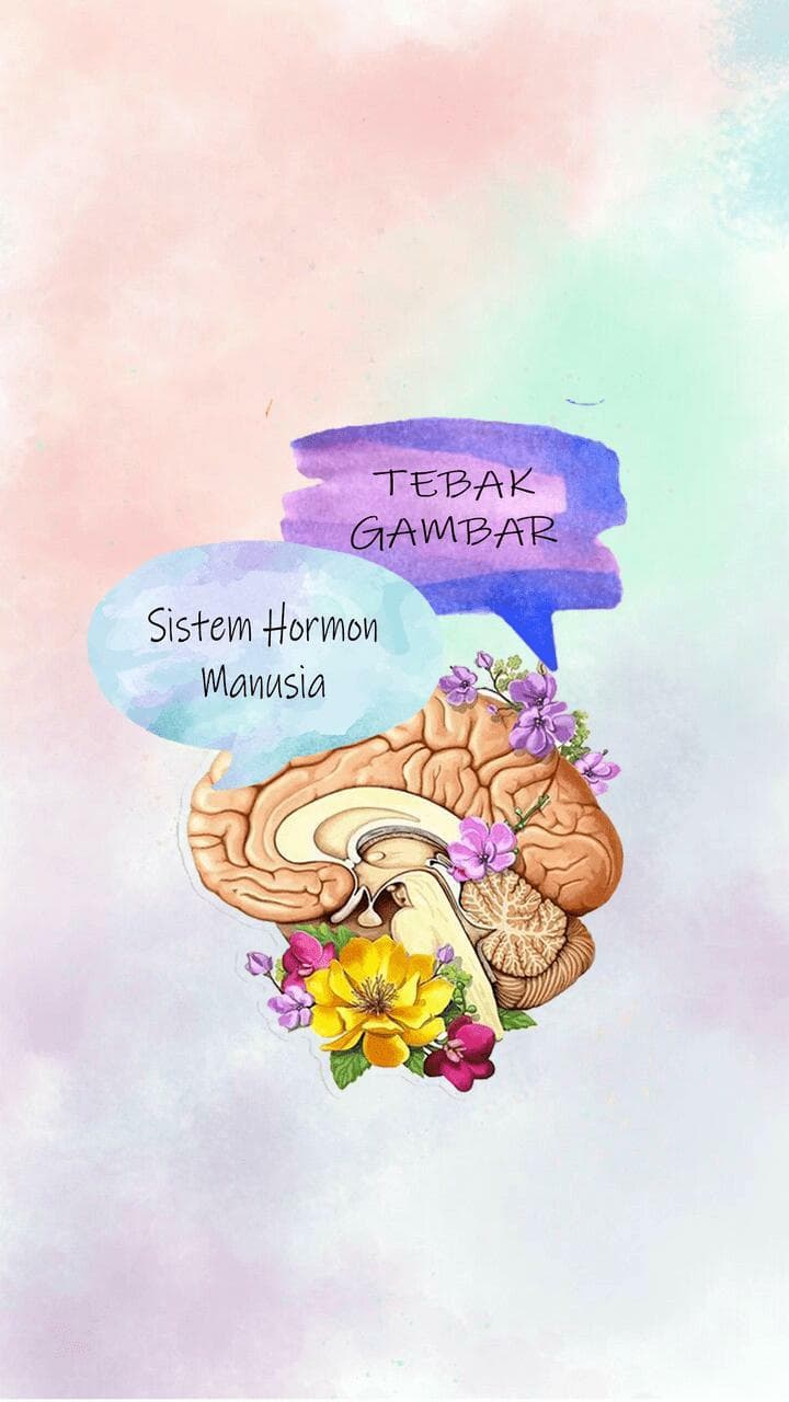 Game Edukasi Tebak Gambar