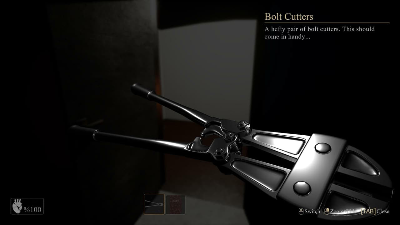The Legend of Adelma screenshot 2