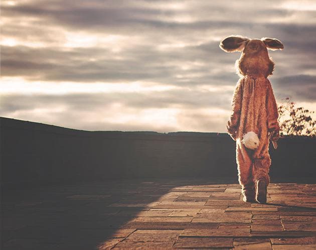 Tortoise and the Hare