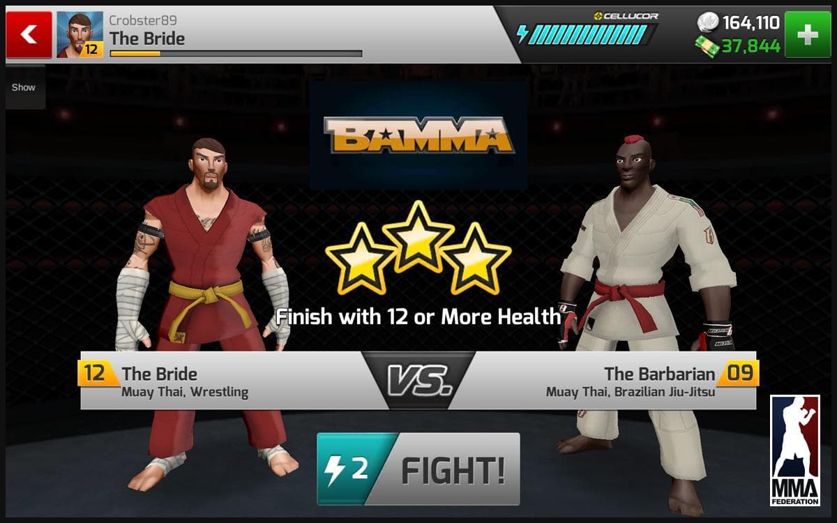 MMA Federation screenshot 3