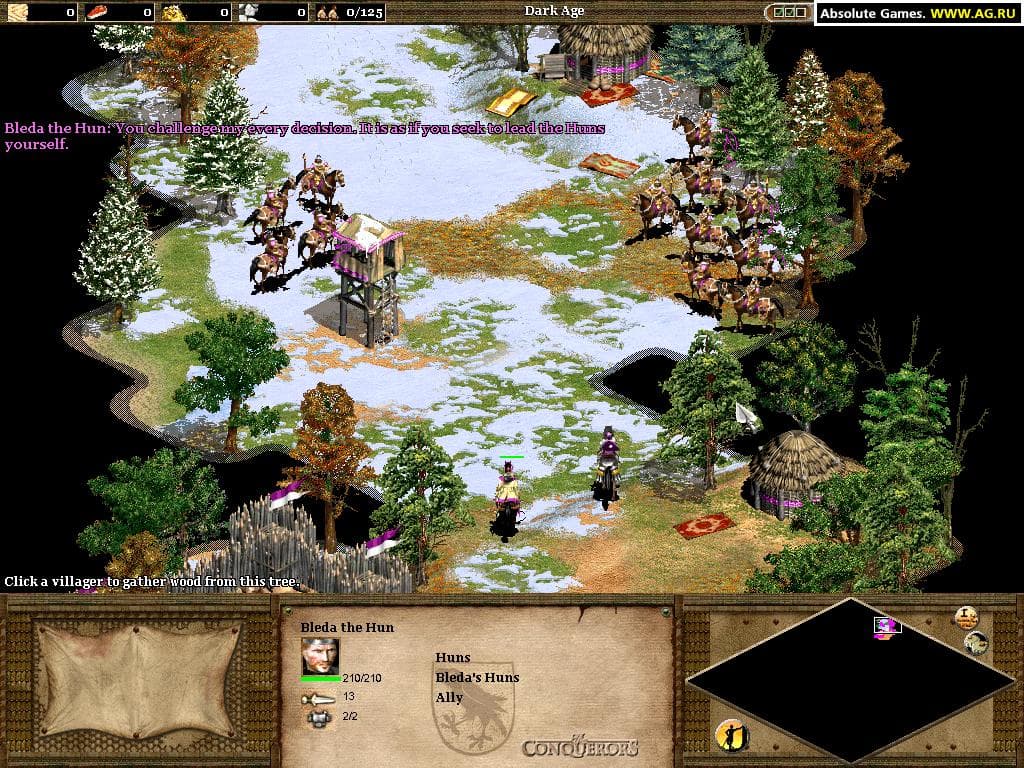 Age of Empires II: The Conquerors screenshot 5