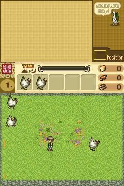 Shepherds Crossing 2 (DS) screenshot 4