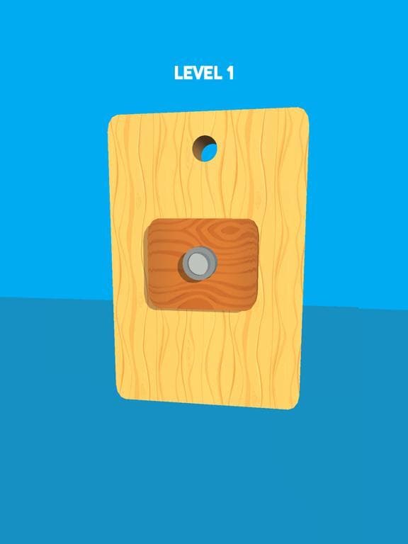Pin Board Puzzle screenshot 2