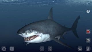 Talking Great White: My Pet Shark PRO screenshot 2