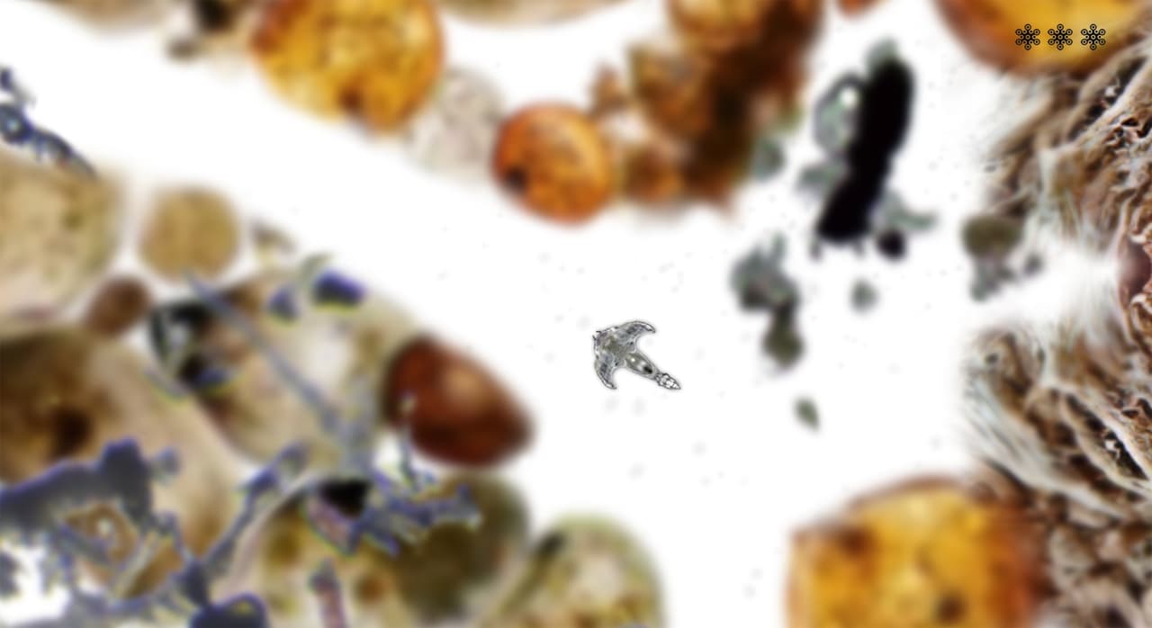 My Microscopic Pet screenshot 3