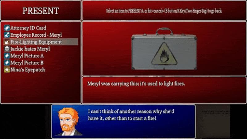 Nina Aquila: Legal Eagle screenshot 6