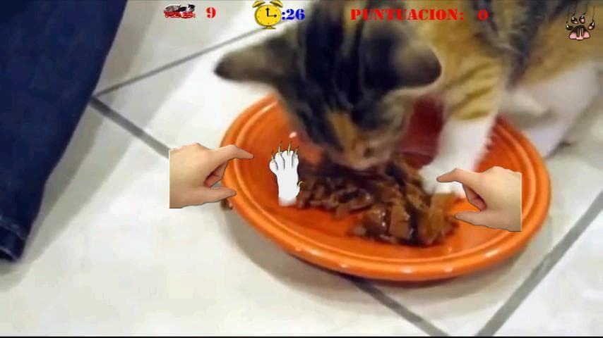 Gatos Locos screenshot 5