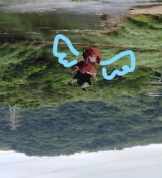 i can fly too