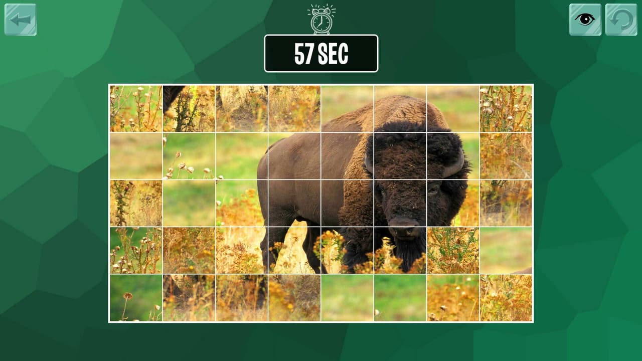 Easy puzzle: Animals 2 screenshot 2