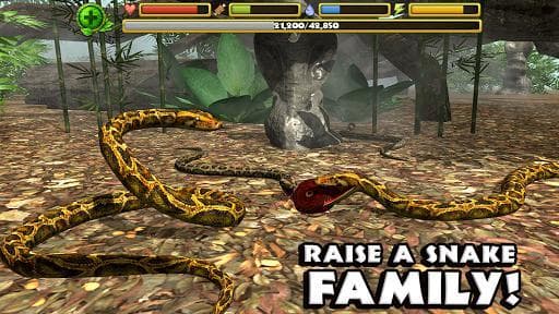 Snake Simulator