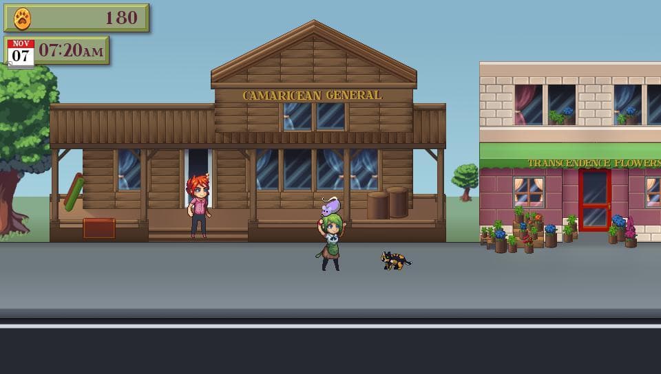 CATFE screenshot 5
