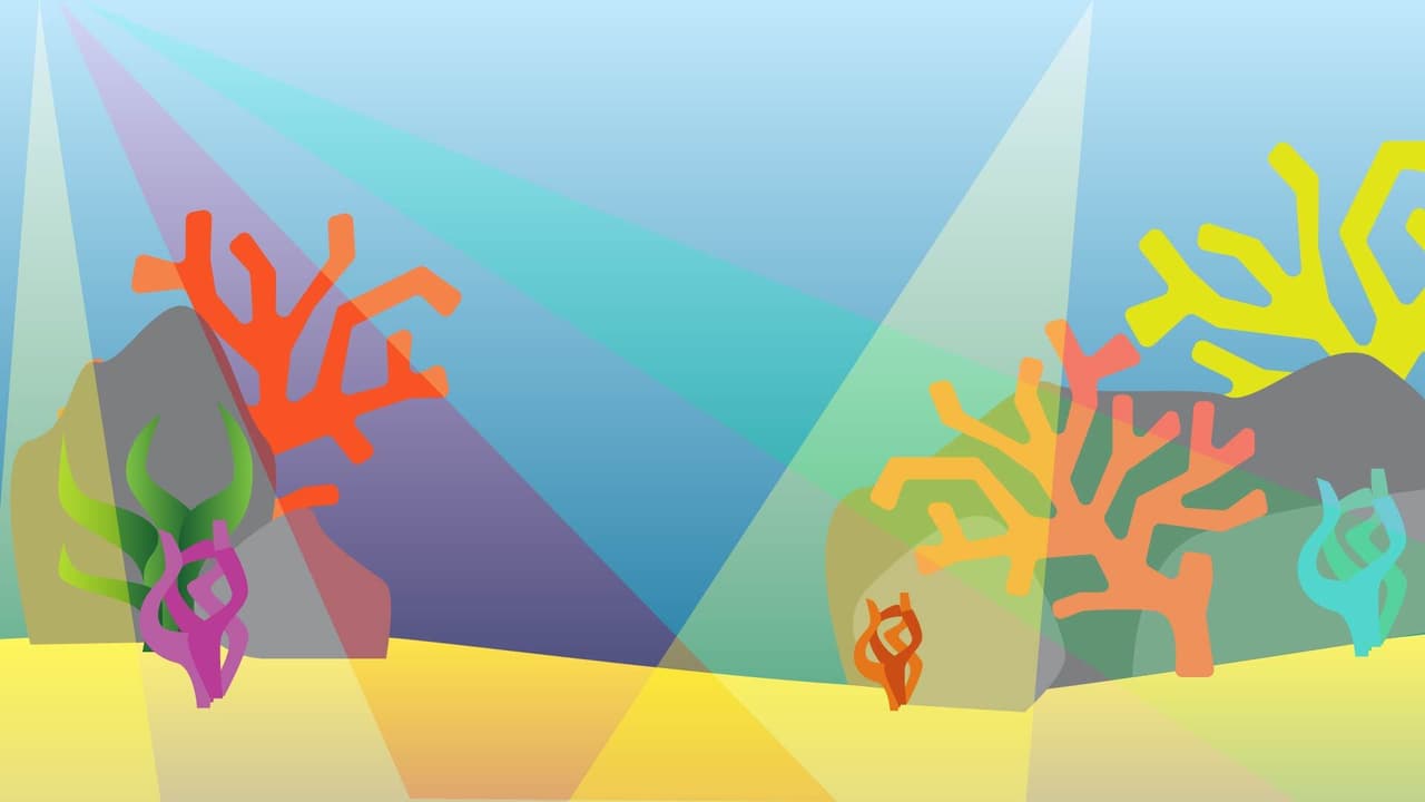 Swimothys Adventure! (animated)