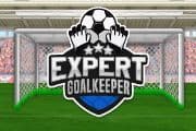 Expert goalkeeper 2022 screenshot 2