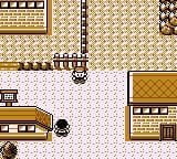Pokemon Brown (ROM Hack) screenshot 2
