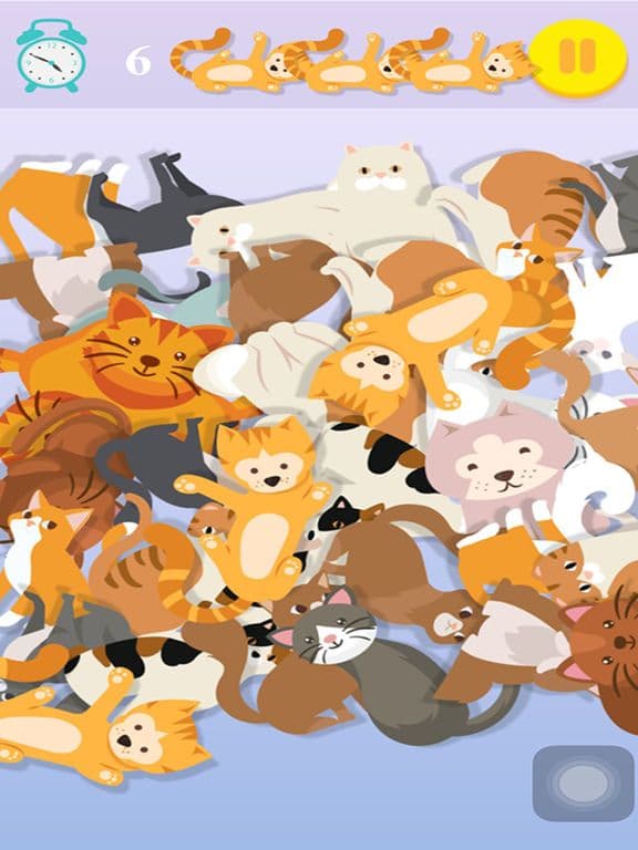 快速找猫 screenshot 2