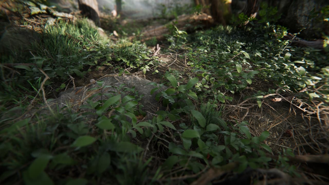 Book Of The Dead: Environment