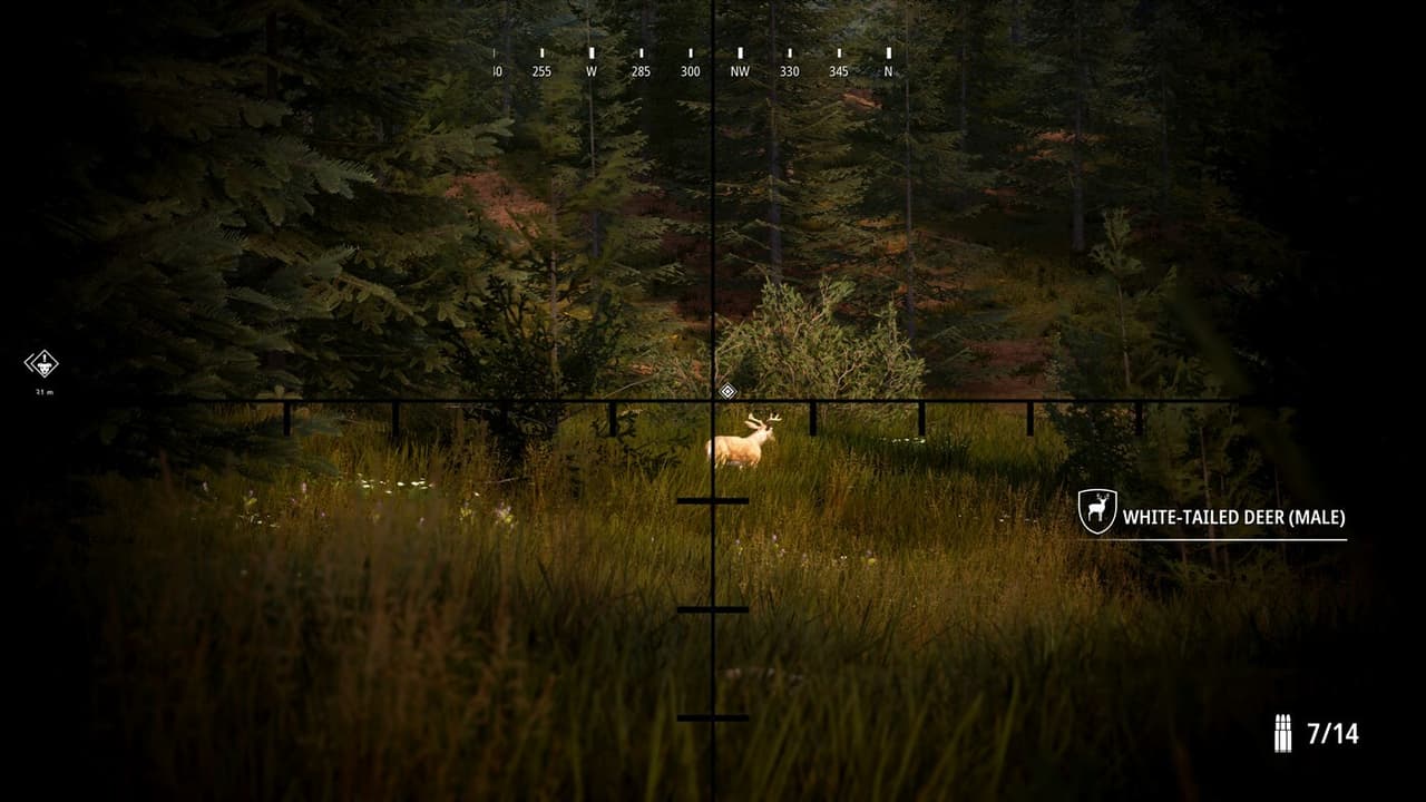 Hunting Simulator 2 Xbox Series X|S screenshot 4