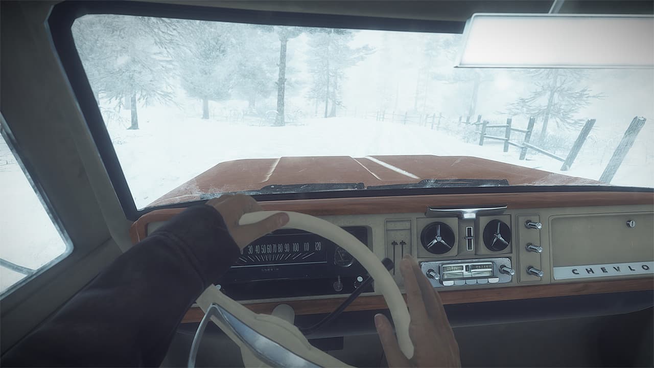 Kona screenshot 3