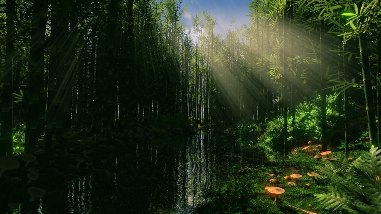 FlowScape screenshot 6